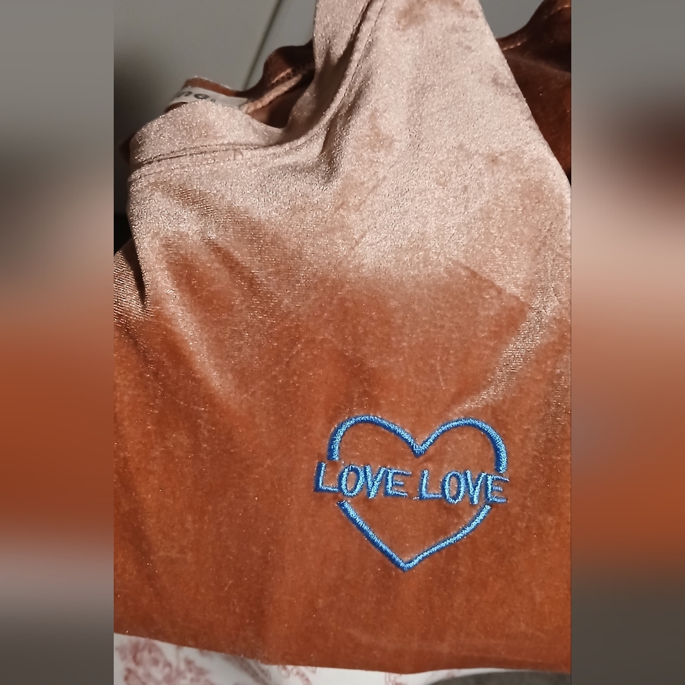 Blush Velvet Top with Blue Heart Embroidery